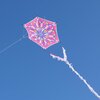 Spiderkites Alicja's Lotus Kite Pink - Eenlijnsvlieger