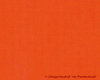 Spinnaker Nylon Oranje