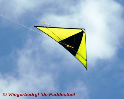 De Paddestoel Speedwing Proton