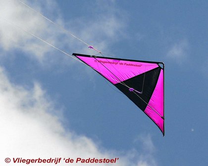 De Paddestoel Speedwing Proton