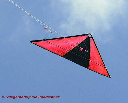 De Paddestoel Speedwing Proton