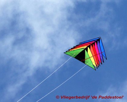 De Paddestoel Speedwing Proton Koppel