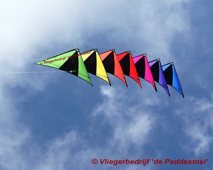 De Paddestoel Speedwing Proton Koppel