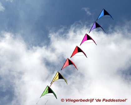 De Paddestoel Speedwing Proton Koppel