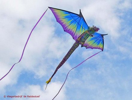 X-Kites 3D Draak 