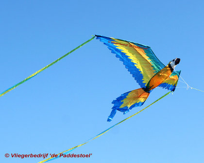 WindNSun 3D Macaw