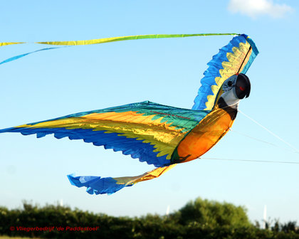 WindNSun 3D Macaw