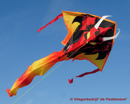 Premier Kites Large Easy Flyer Fire Starter