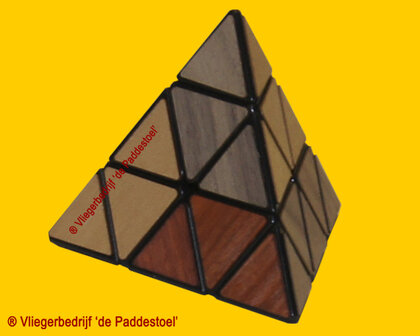 Recent Toys Pyraminx de Luxe - IQ Puzzel