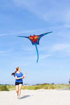 HQ Delta Manta Kite