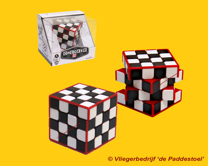 Recent Toys Checker Cube - IQ Puzzel