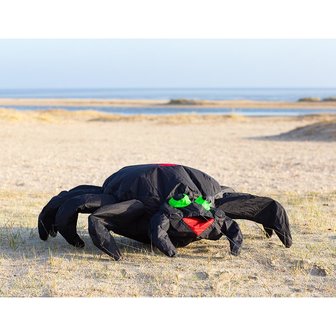 HQ Bouncing Buddy Spider