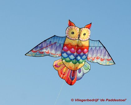 Premier Kites Rainbow Owl XL