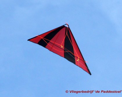 De Paddestoel Speedwing Pro