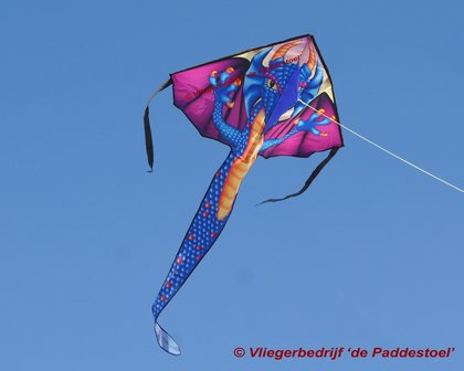 Premier Kites Large Easy Flyer Saphire Dragon