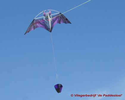 HQ Dark Fang Bat Kite