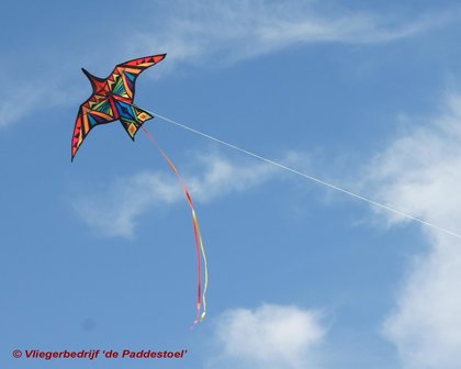 Premier Kites Thunderbird Rainbow Geometric