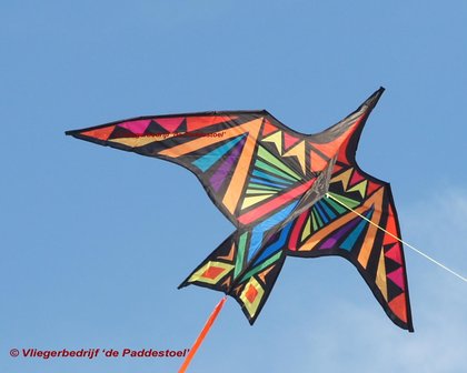 Premier Kites Thunderbird Rainbow Geometric Large