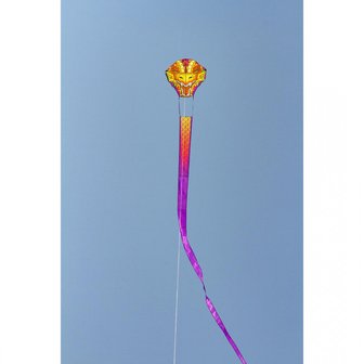 HQ Dragonhead kite