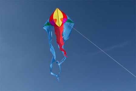 Spider Kites Flux Delta regenboog