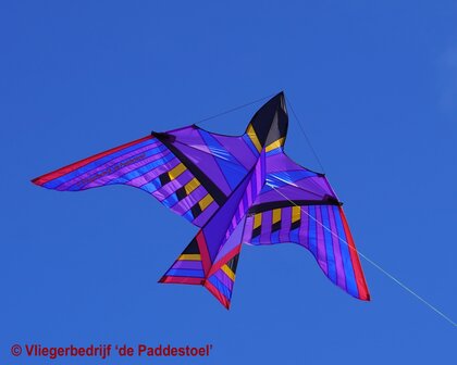 De Paddestoel George Peters Cloud Bird Maui