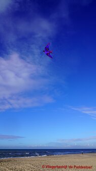 De Paddestoel George Peters Cloud Bird Maui