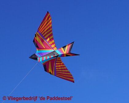 De Paddestoel George Peters Sky Bird Aloha