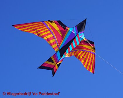 De Paddestoel George Peters Sky Bird Aloha