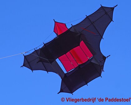 De Paddestoel Cody 25 Extended met Topwing