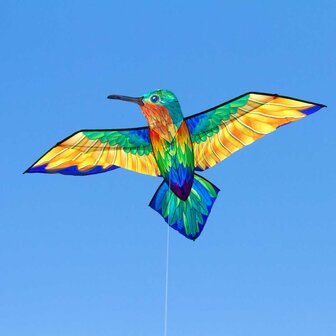 HQ hummingbird