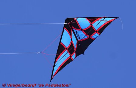 De Paddestoel Havik