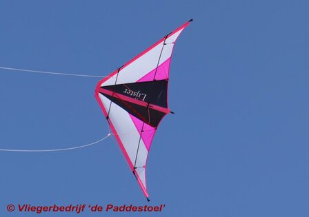 De Paddestoel Lijster