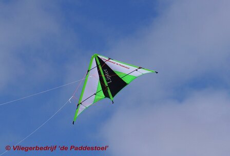 De Paddestoel Lijster - Green