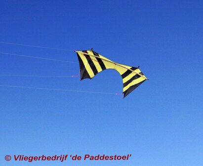 De Paddestoel Cursor Flash - Zwart/geel