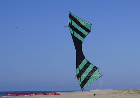 De Paddestoel Cursor Flash Groen/zwart