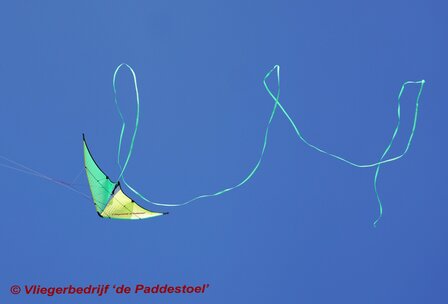 Prism Neutrino Citron