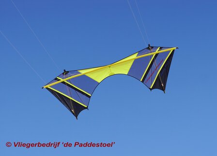 De Paddestoel Cursor Flash Air