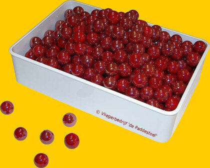 Parel Rood knikkers - per kilogram