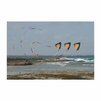 Spiderkites Sista
