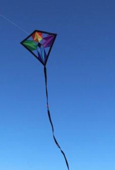Spiderkites Domann Kaleido Diamond Eddy