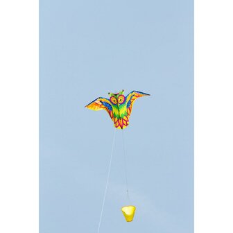 HQ Flashy Owl Kite - eenlijnsvlieger
