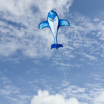 HQ Dolfin Kite - eenlijnsvlieger