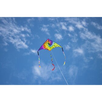 HQ Delta Rainbow Rider 2m - Eenlijnsvlieger