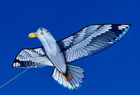 HQ Seagull Delta