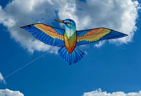 HQ Kingfisher Delta