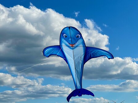 HQ Dolfin Kite - eenlijnsvlieger