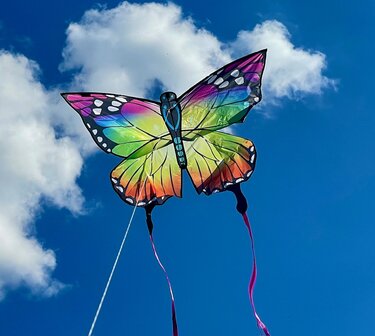 HQ Butterfly Kite Rainbow - Eenlijnsvlieger