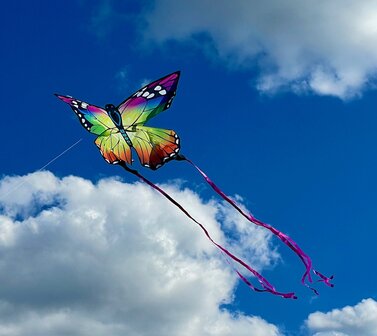 HQ Butterfly Kite Rainbow - Eenlijnsvlieger