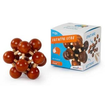Recent Toys Frontal Lobe - IQ Puzzel