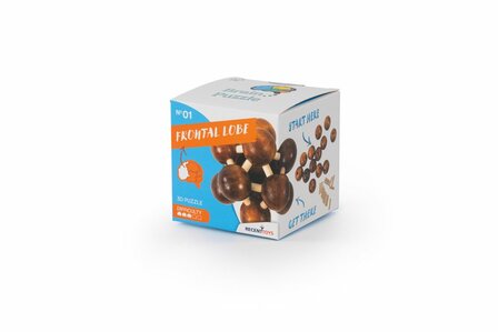 Recent Toys Frontal Lobe - IQ Puzzel